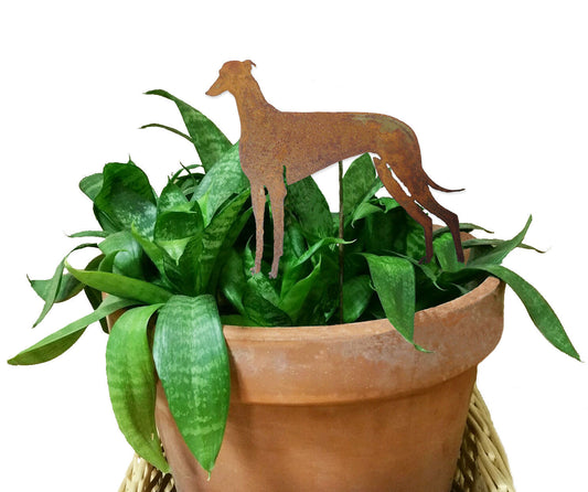 Greyhound plant stake rusted metal silhouette in a terracotta pot with green snake plant leaves on Tampa Home & Garden Store