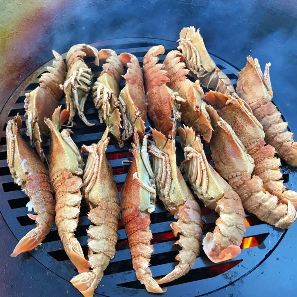 Grill Grate (10”Ø) For 20" Arteflame Grills - Tampa soil911.com