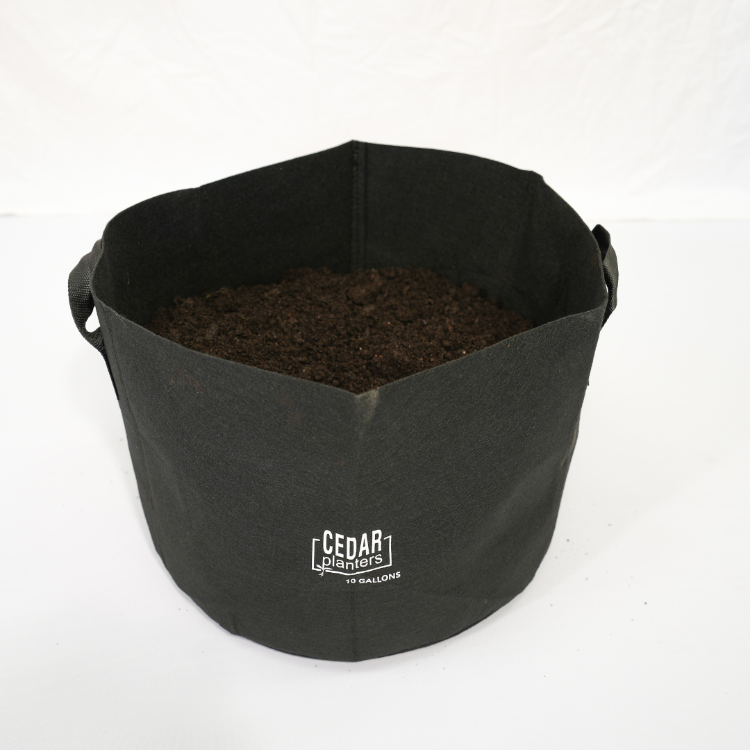 Grow Bag (10 Gallon) - Tampa Home & Garden Store
