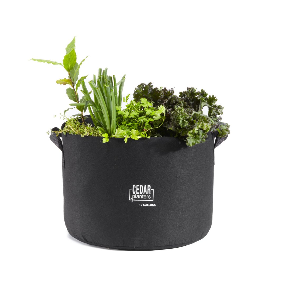 Grow Bag (10 Gallon) - Tampa Home & Garden Store