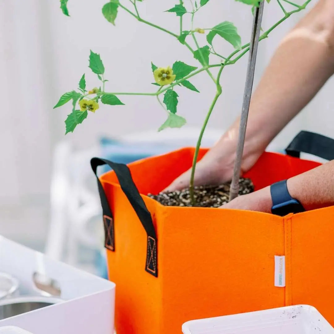 Grow Bags - 7 Gallon Colored Fabric Pots - Tampa soil911.com