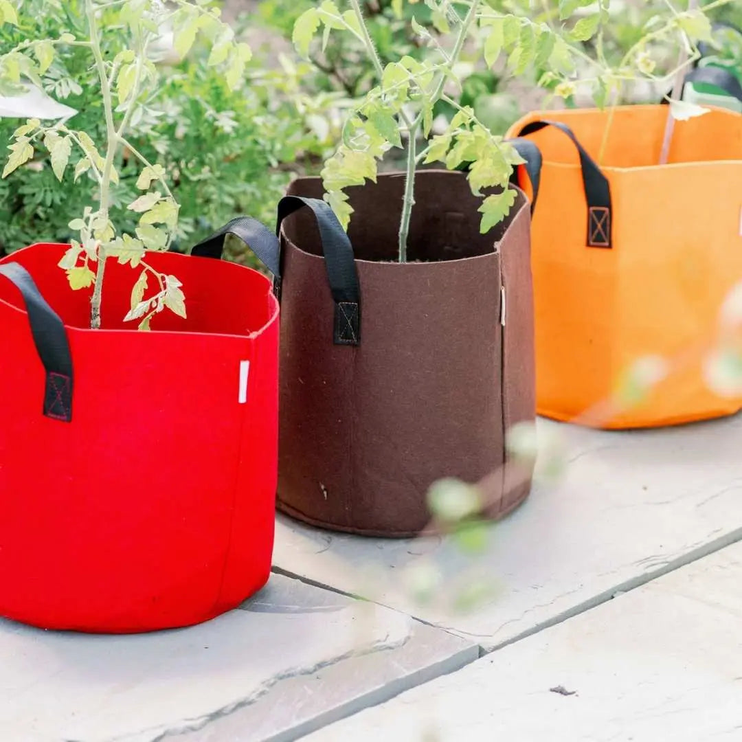 Bolsas de cultivo - Macetas de tela de colores de 7 galones