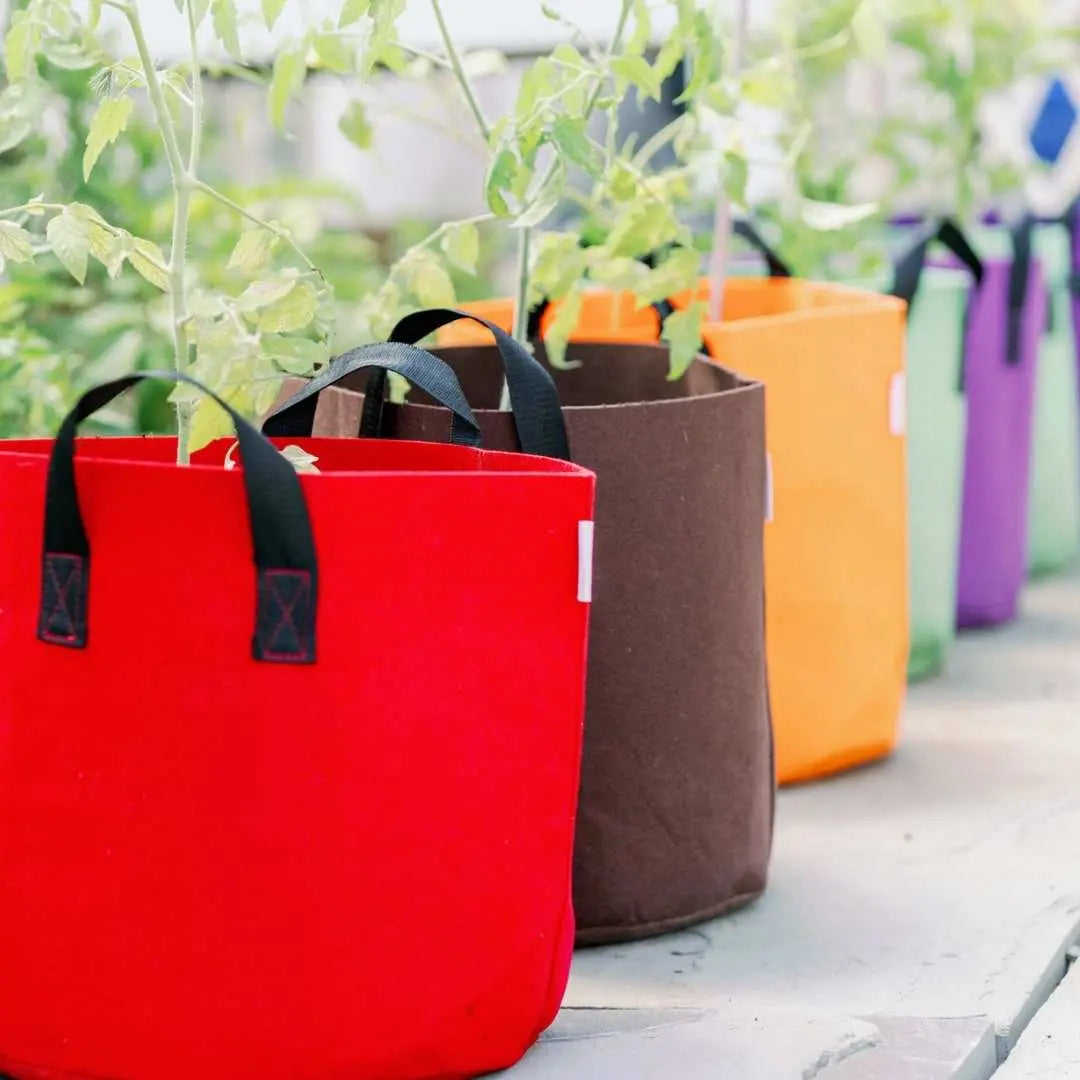 Bolsas de cultivo - Macetas de tela de colores de 7 galones