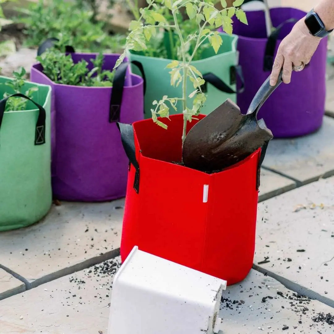 Bolsas de cultivo - Macetas de tela de colores de 7 galones