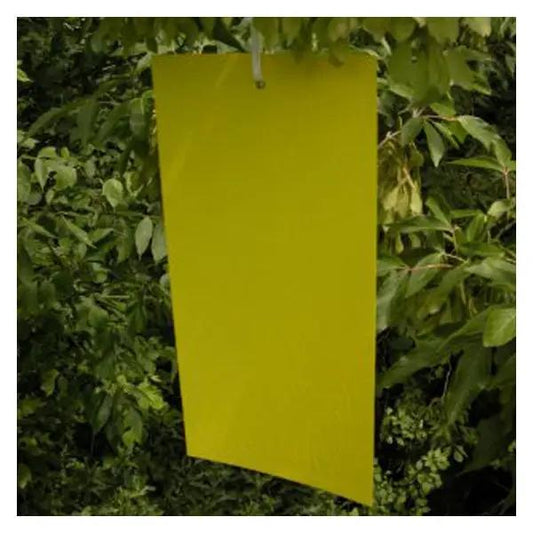 GrowersHouse Bug-Scan Mini Yellow sticky trap 12.5x10 cm hanging in garden on Tampa Home & Garden Store