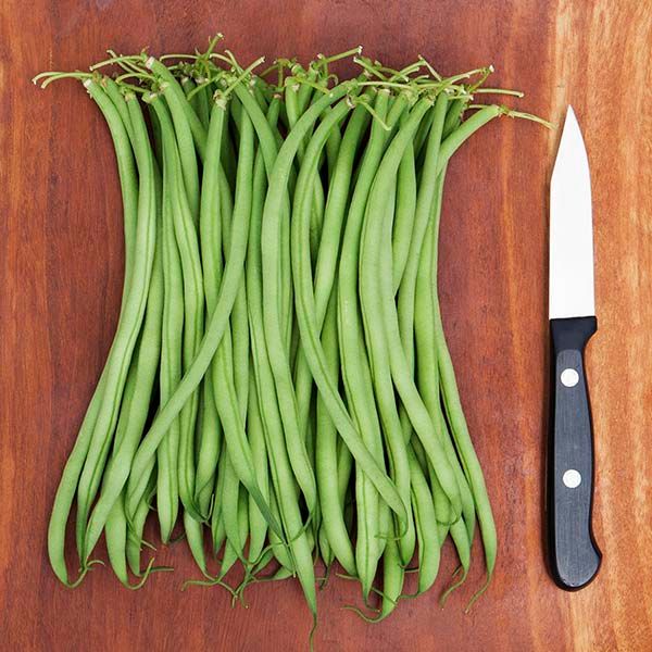 Maxibel Haricot Vert bean seeds Seedtime Store bundle of green beans on wooden board on Tampa Home & Garden Store