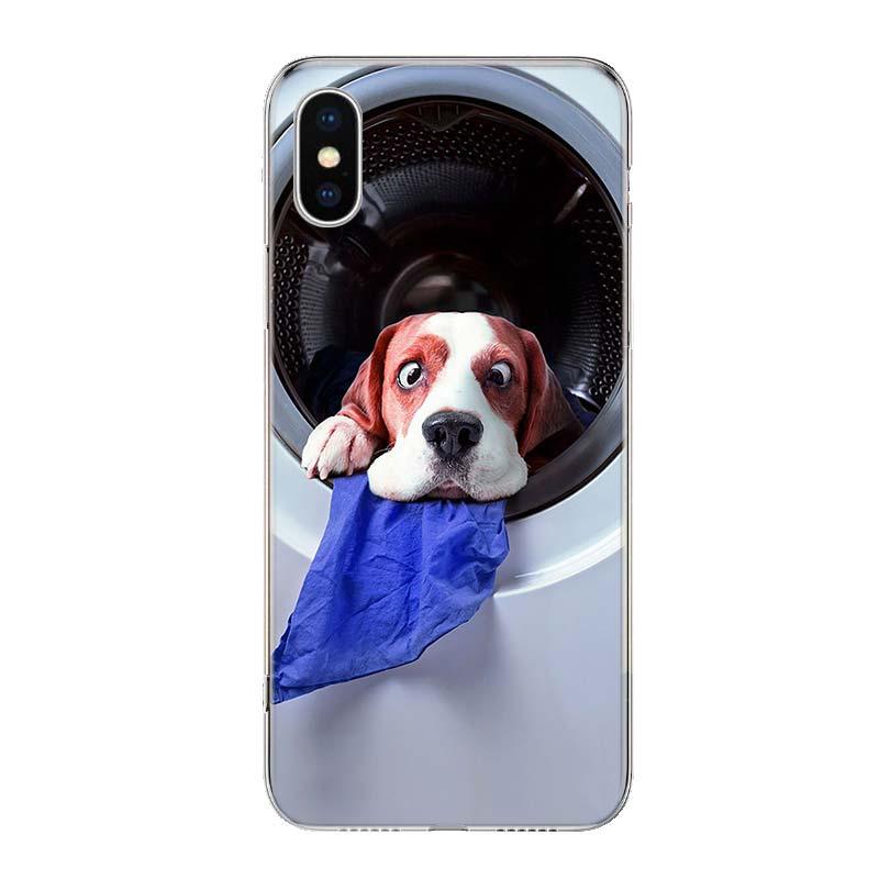 Beagle Dog hard case for iPhone by Stevvex, clear cover with beagle peeking from washing machine on Tampa Home & Garden Store