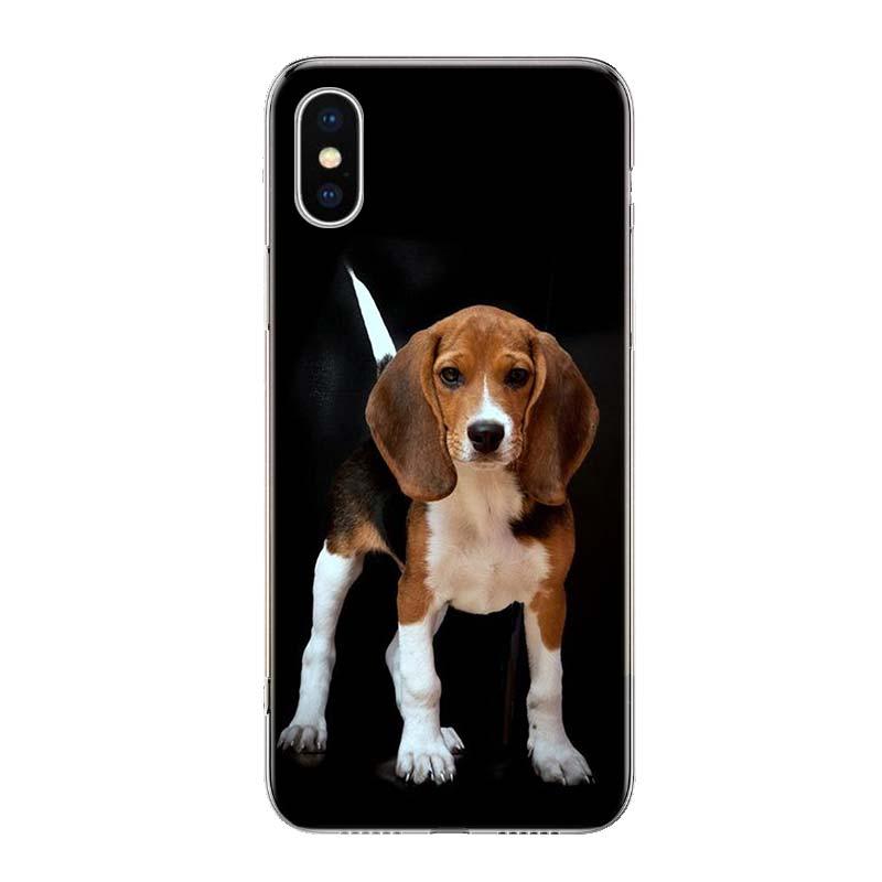 Beagle iPhone case by Stevvex, hard cover with beagle on black background on Tampa Home & Garden Store