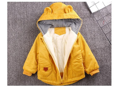 Stevvex infant hooded corduroy jacket mustard yellow with cream lining and check hood interior on Tampa Home & Garden Store