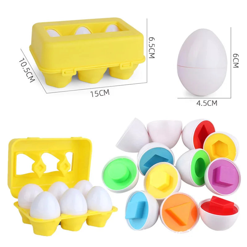 Montessori Egg Shape Match Puzzle by FlipStylez LLC; carton with 6 white eggs and 12 inserts on Tampa Home & Garden Store