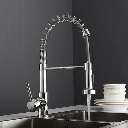 DecorBites Kitchen Faucet chrome finish with pull-down spring hose and rotating gooseneck on Tampa Home & Garden Store