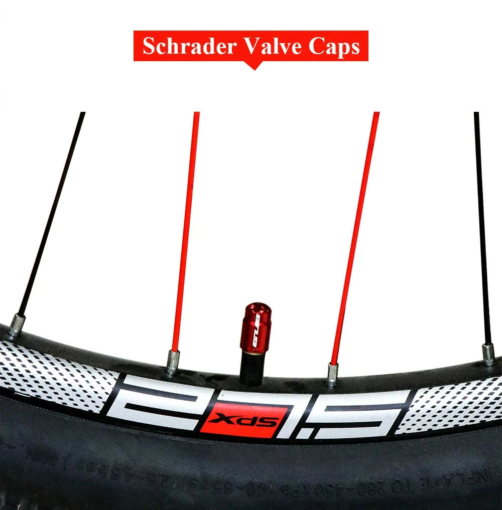 Aluminum valve stem cap on bike wheel with red cap and Schrader valve, black tire, white rim on Tampa Home & Garden Store