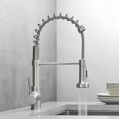 DecorBites kitchen faucet nickel finish with spring coil pull-down spray on Tampa Home & Garden Store