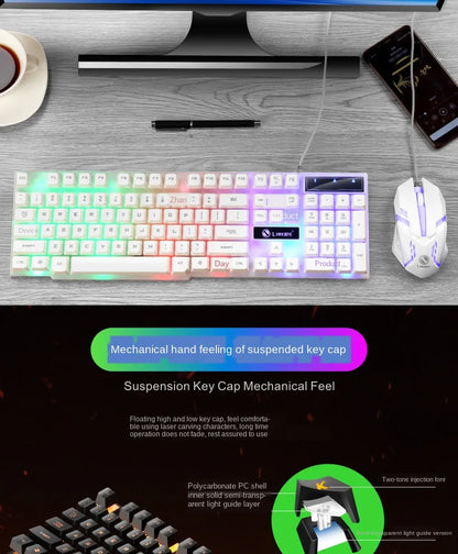 FLIPSTYLEZLLC USB wired gaming keyboard and mouse set in white with rainbow RGB backlight on Tampa Home & Garden Store