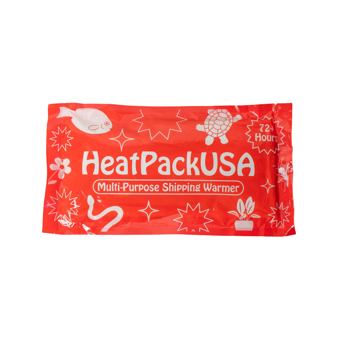 Winter Plant Shipping Protection Essentials