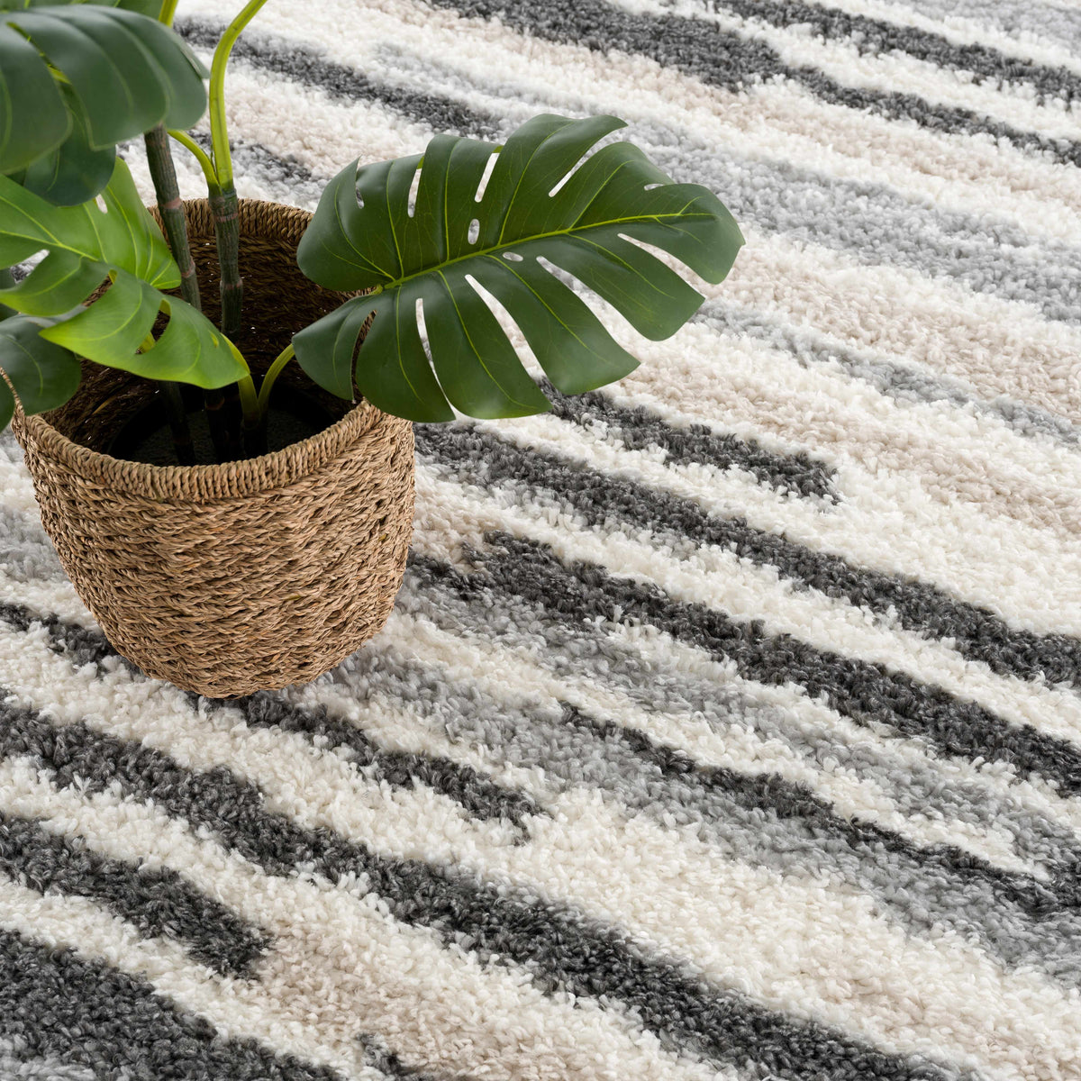 Zoya irregular striped area rug in grayscale shaggy pile beside a monstera in a woven basket on Tampa Home & Garden Store