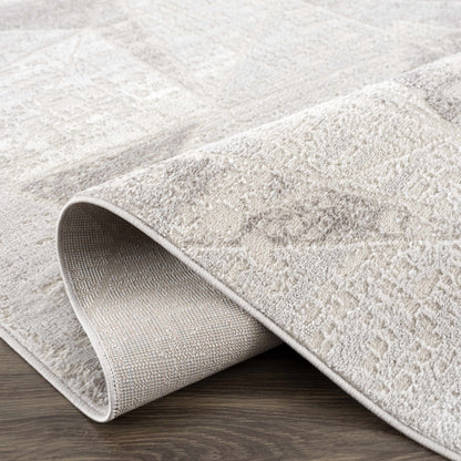 Basia Area Rug Clearance by Boutique Rugs, light beige textured pile, rolled edges visible on Tampa Home & Garden Store