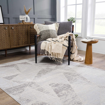 Basia Area Rug - Clearance by Boutique Rugs, light gray with cream pattern in living room on Tampa Home & Garden Store