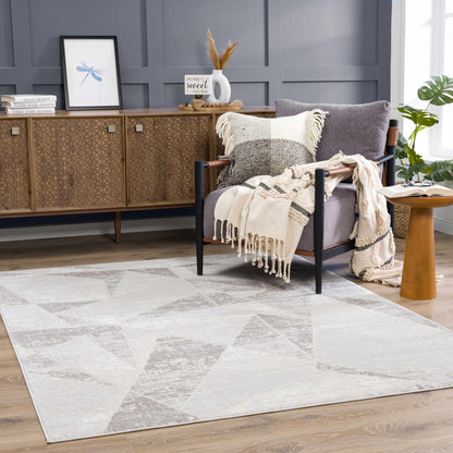 Basia Area Rug clearance light gray with subtle pattern in living room setting Boutique Rugs on Tampa Home & Garden Store