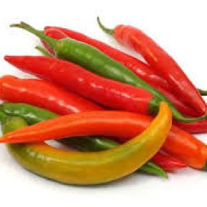 HOT PEPPER Seeds, Serrano Chili - Tampa Home & Garden Store