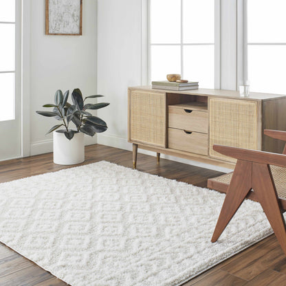 Eivin Cream Diamonds Plush Rug cream shag texture by Boutique Rugs on Tampa Home & Garden Store