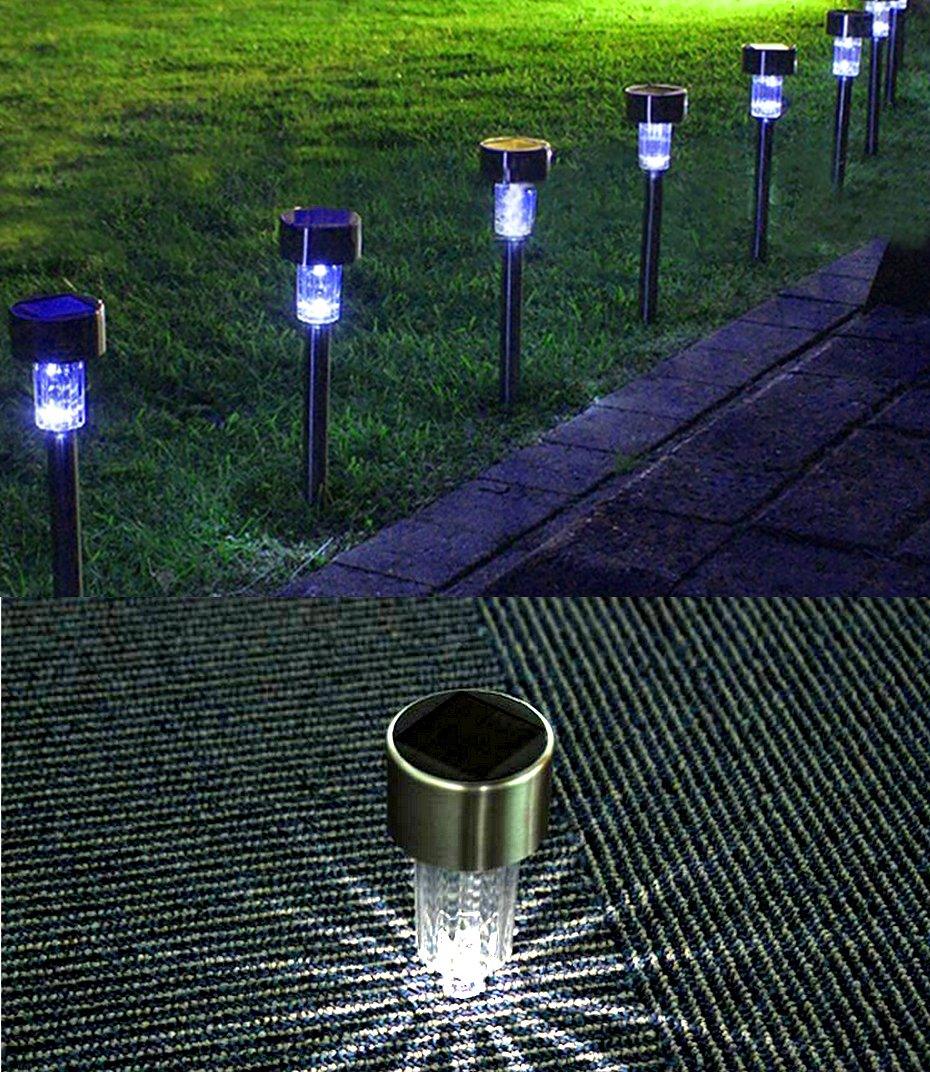 Garden Premium LED Solar Stainless Steel Path Lights along lawn and walkway with blue glow on Tampa Home & Garden Store