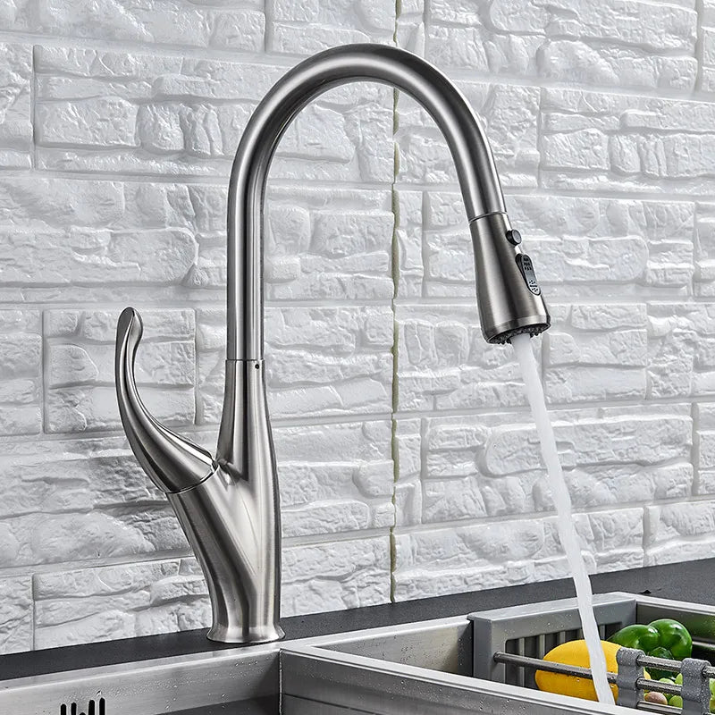 DecorBites chrome pull-out kitchen faucet with 2-function spray and high-arc spout on Tampa Home & Garden Store