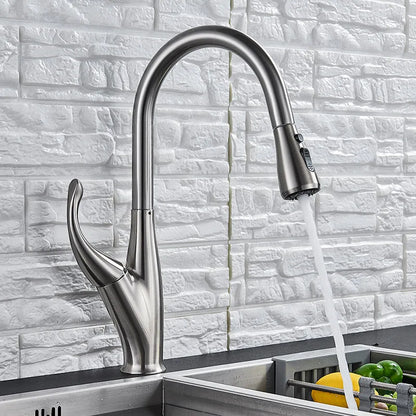 DecorBites chrome pull-out kitchen faucet with 2-function spray and high-arc spout on Tampa Home & Garden Store