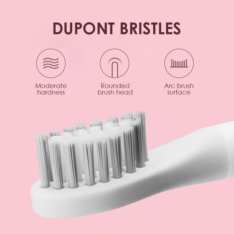 Sonic toothbrush head with DuPont bristles, rounded brush head, white on Tampa Home & Garden Store