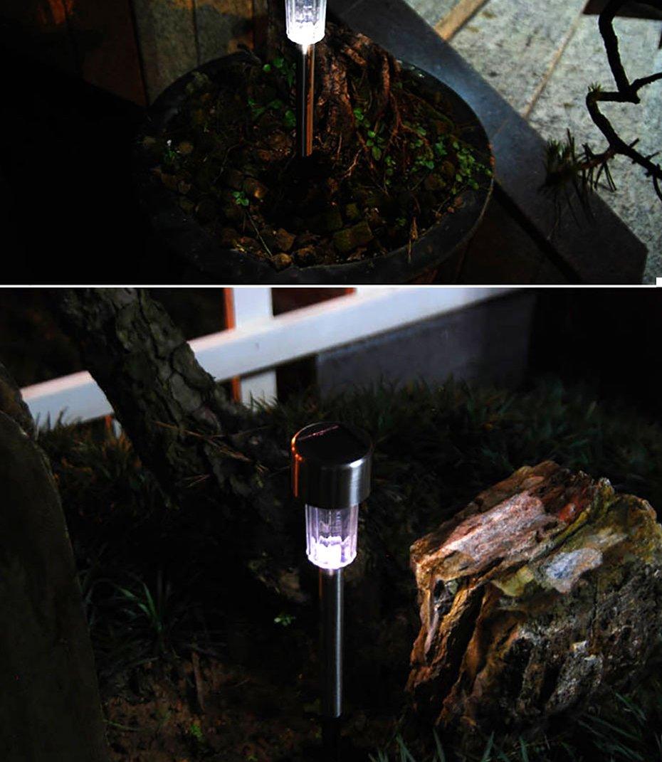 Stevvex ST10LM1829GLP stainless steel LED solar stake lights for landscape pathways purple glow on Tampa Home & Garden Store