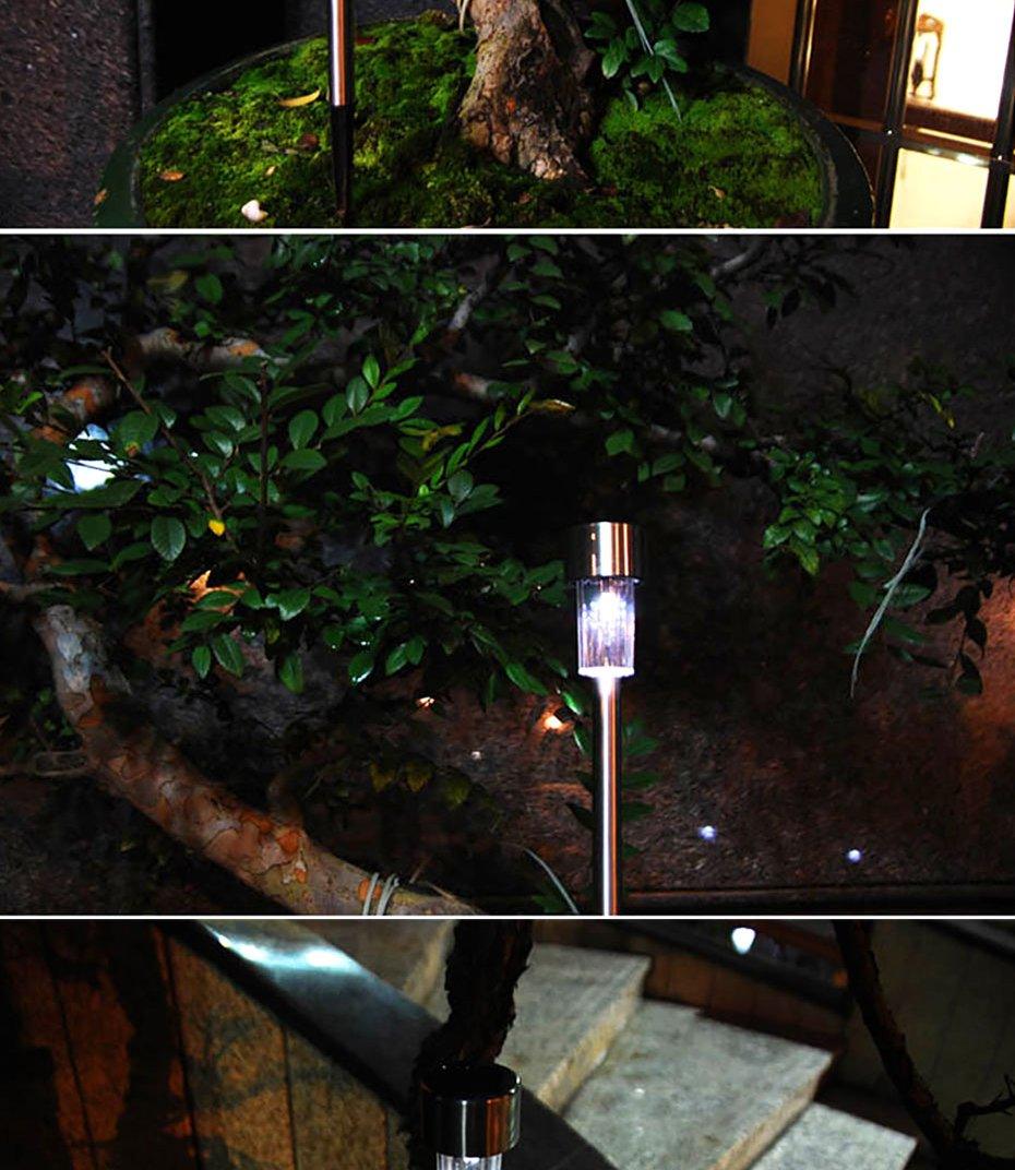 LED solar pathway lights stainless steel by Stevvex for yard and walkway outdoor set on Tampa Home & Garden Store