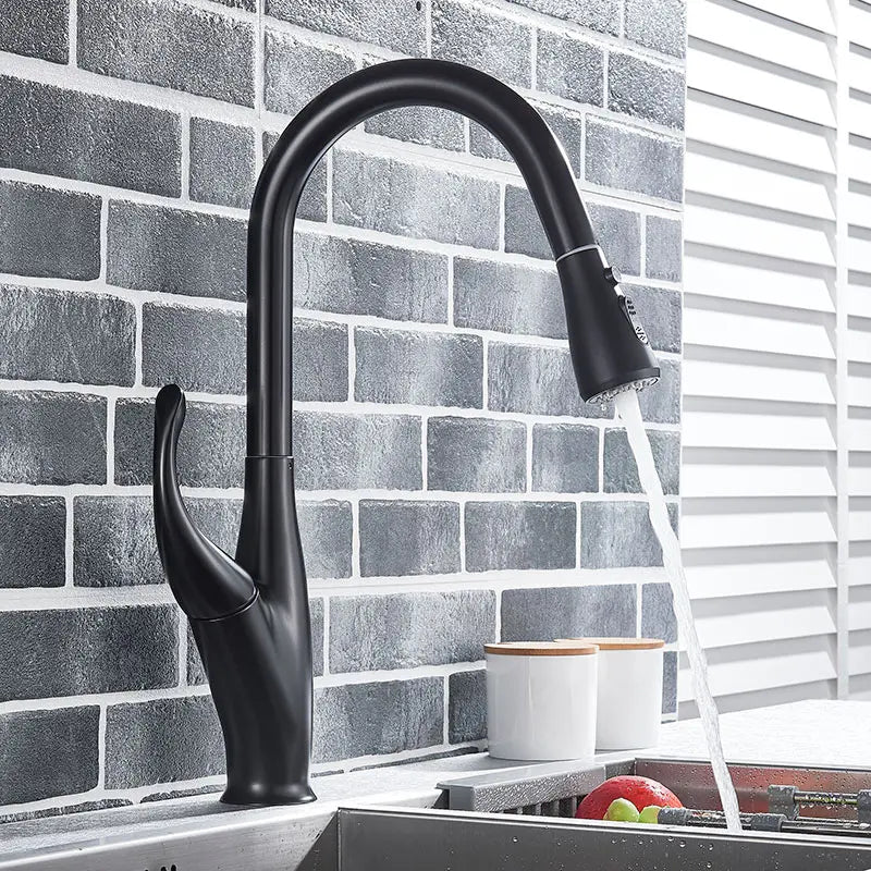 DecorBites kitchen faucet matte black pull-out mixer with 2-function spray on Tampa Home & Garden Store