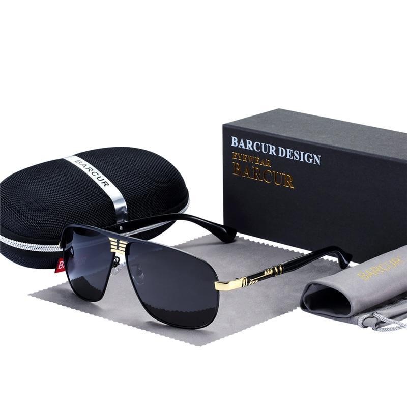 Stevvex polarized aviator sunglasses with UV400 black lenses, gold-tone arms, Barcur case and box on Tampa Home & Garden Store