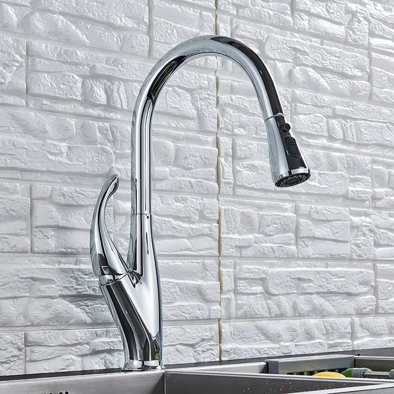DecorBites chrome/black kitchen faucet pull-out mixer with 2-function spray on Tampa Home & Garden Store