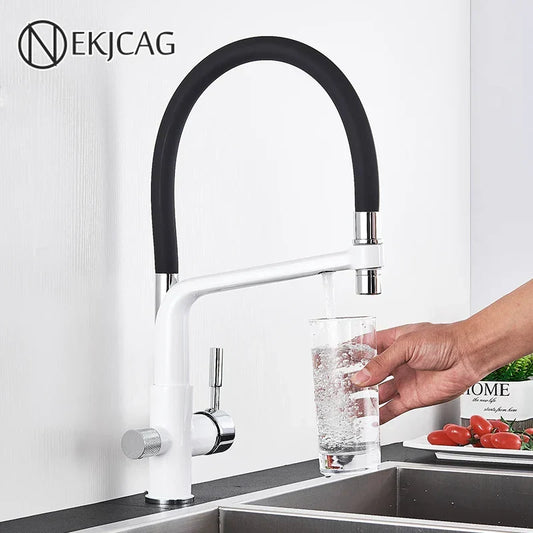 DecorBites kitchen faucet with filtered water, white body, black flexible spout dual-handle on Tampa Home & Garden Store