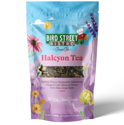 Halcyon Parrot Tea - Tampa Home & Garden Store
