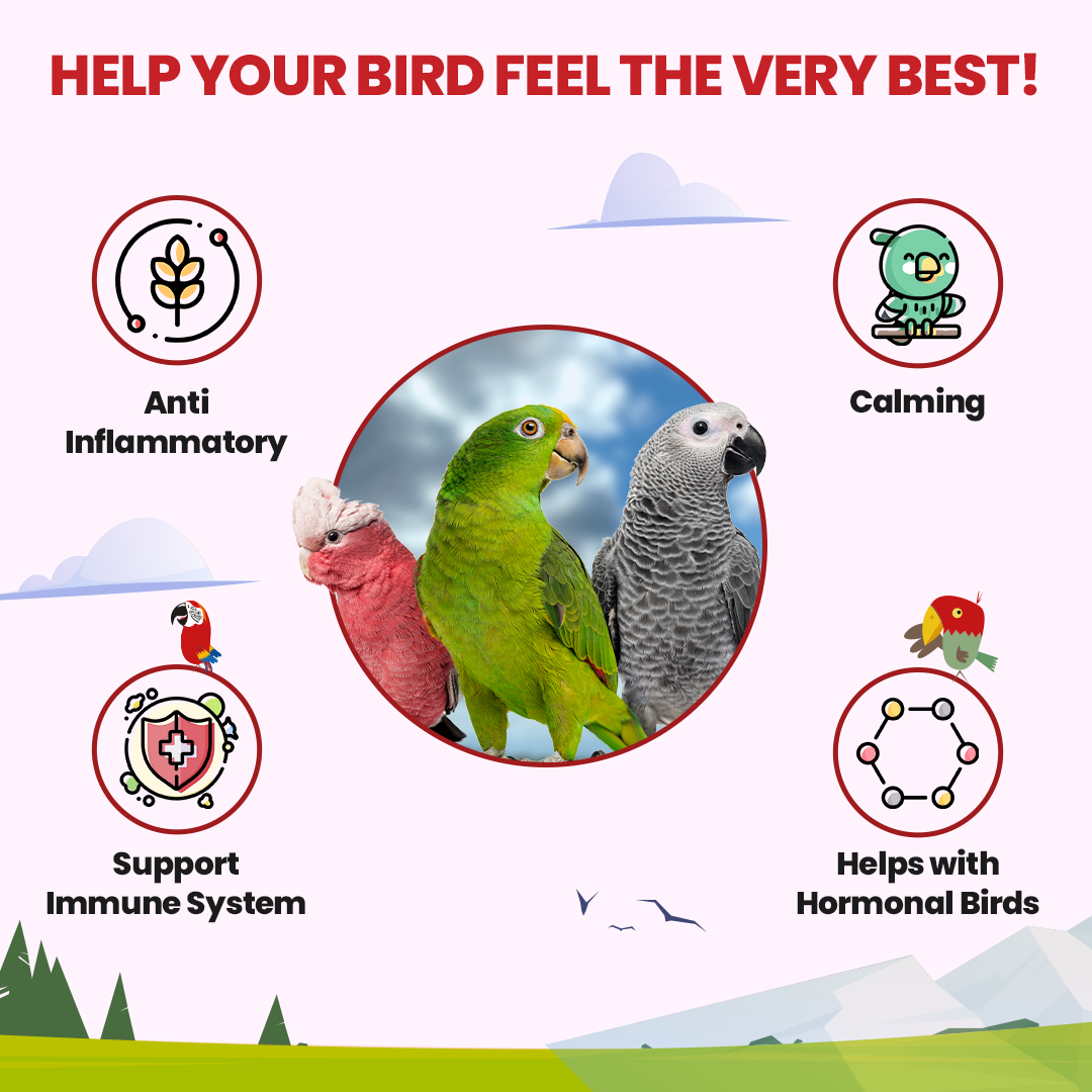Halcyon Parrot Tea - Tampa Home & Garden Store