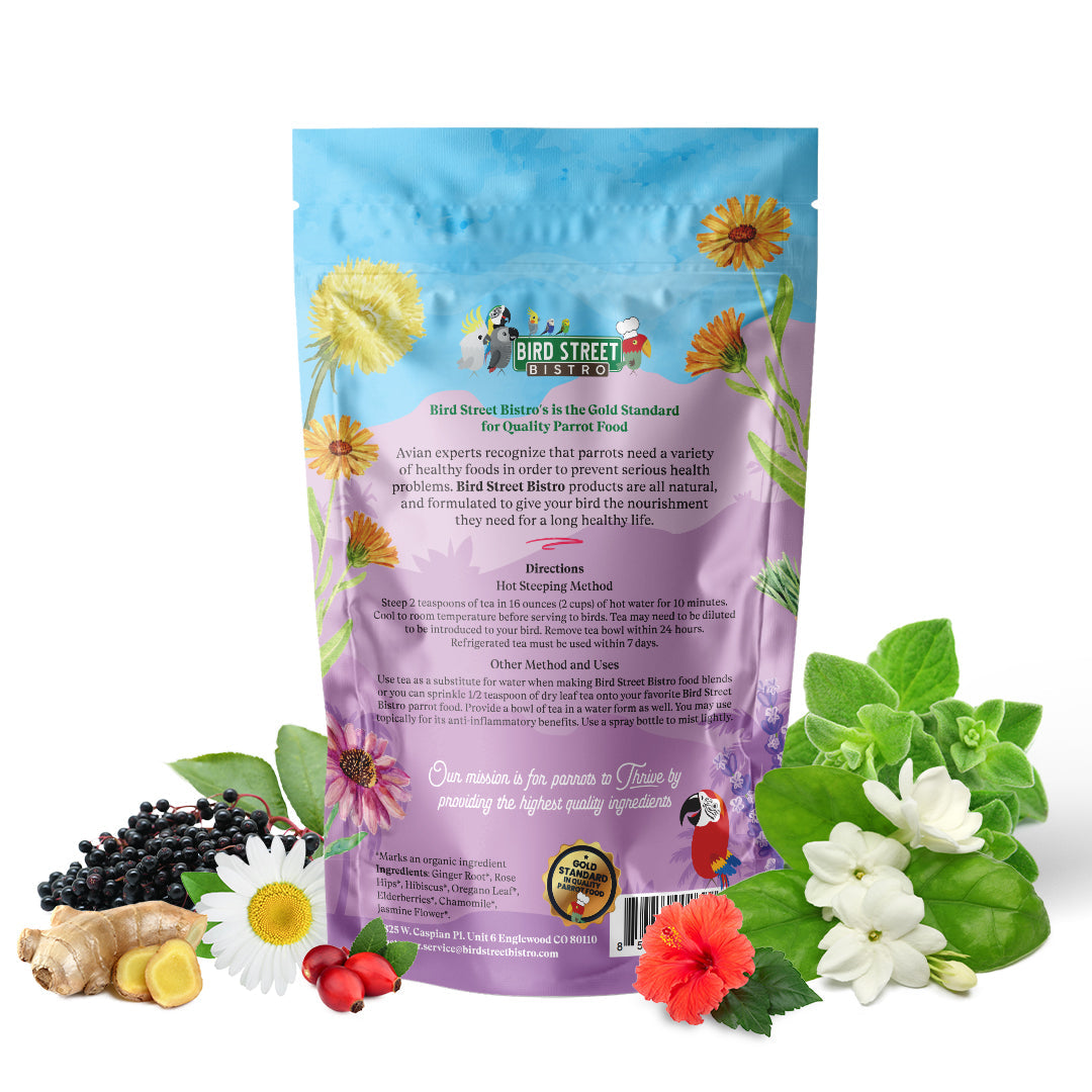 Halcyon Parrot Tea - Tampa Home & Garden Store