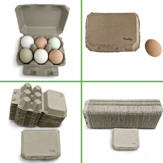 Half Dozen Egg Cartons - Henlay Blank Flat Top, Six Pack, 2 colors, 20 or 100 - Tampa Home & Garden Store