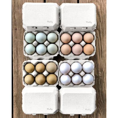 Half Dozen Egg Cartons - Henlay Blank Flat Top, Six Pack, 2 colors, 20 or 100 - Tampa Home & Garden Store