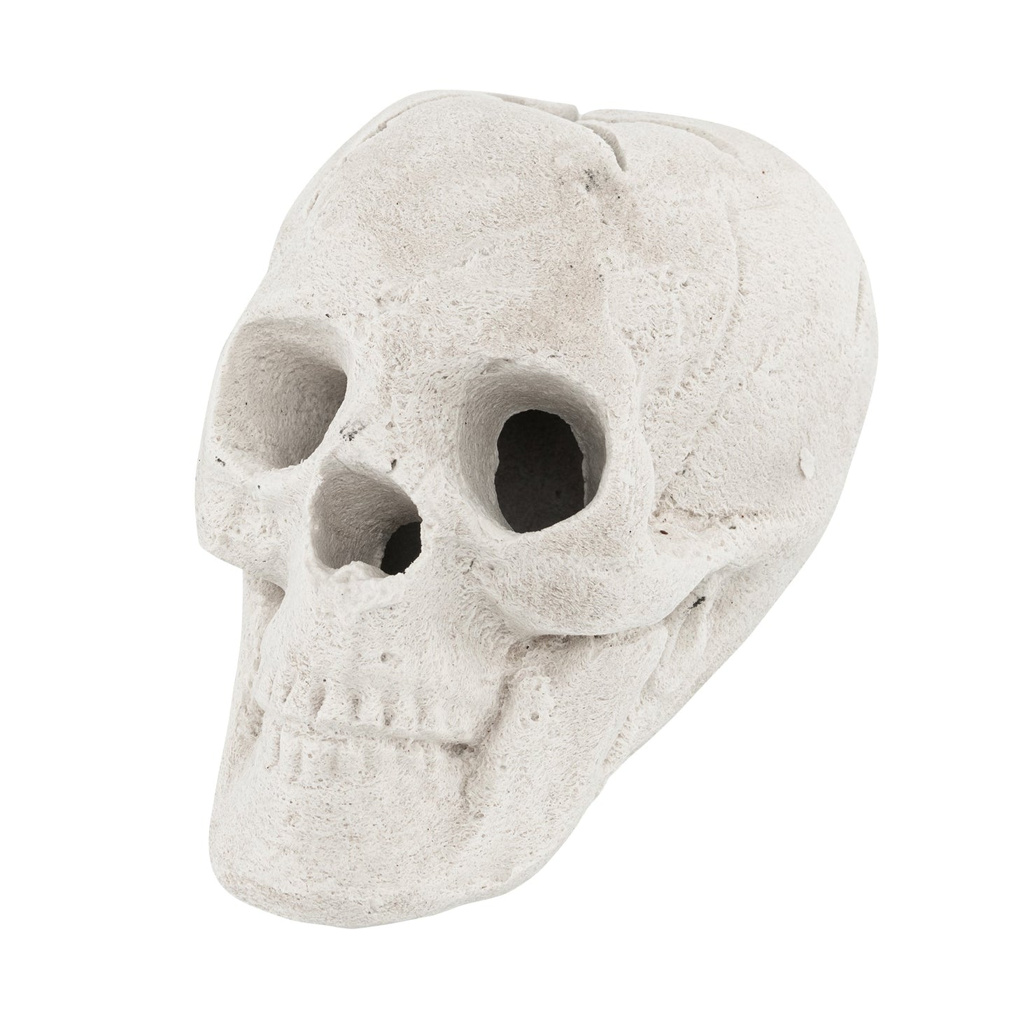 Calavera de Halloween para Fogata - Beige