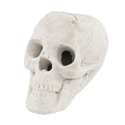 Calavera de Halloween para Fogata - Beige