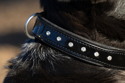 Halter Ego® Black Patent Celebrity Dog Collar - Tampa Home & Garden Store