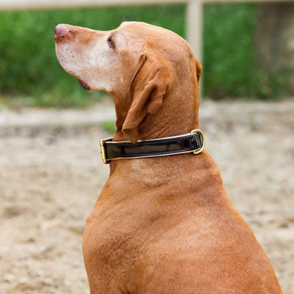 Halter Ego® Brown Patent Florence Dog Leash - Tampa Home & Garden Store