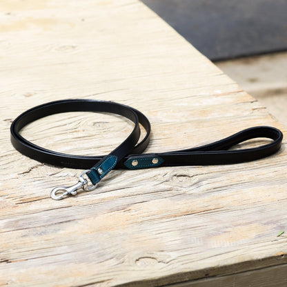 Halter Ego® Metallic Teal Croc Leather Dog Collar - Tampa Home & Garden Store