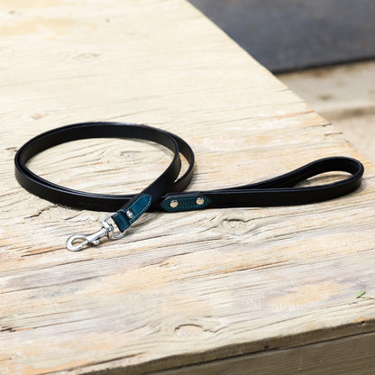 Halter Ego® Metallic Teal Dog Leash - Tampa Home & Garden Store