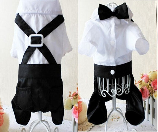 Handsome Stylish Pet Suit with Bow Tie - Tampa Home & Garden Store