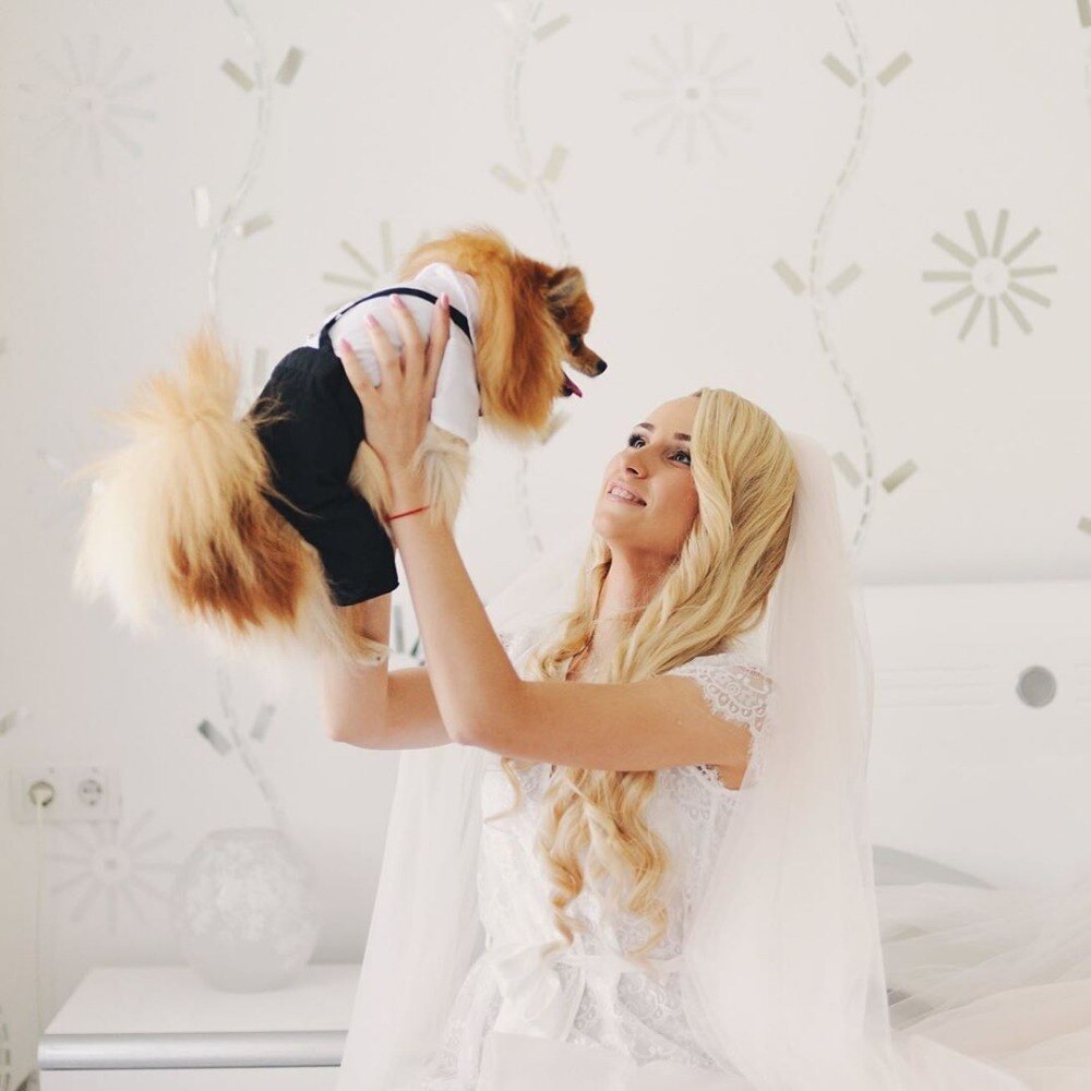 Handsome Stylish Pet Suit with Bow Tie - Tampa Home & Garden Store