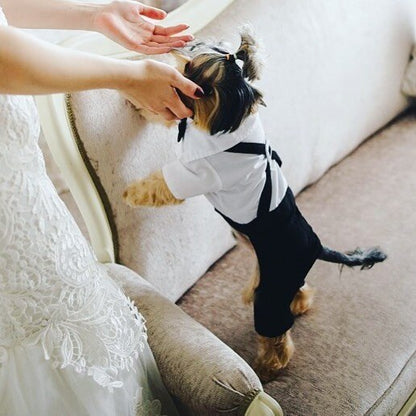 Handsome Stylish Pet Suit with Bow Tie - Tampa Home & Garden Store