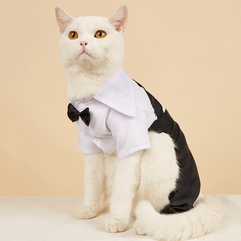 Handsome Stylish Pet Suit with Bow Tie - Tampa Home & Garden Store